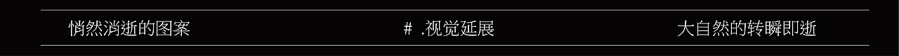 自然的转瞬即逝/ 珍稀动物 视觉设计（图ZMzcxNTk2NjI4） - IP形象 - 站酷设计师Candy_Lie原创素材 - 站酷ZCOOL