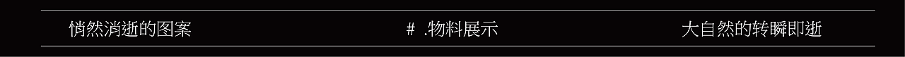自然的转瞬即逝/ 珍稀动物 视觉设计（图ZMzcxNTk2NjMy） - IP形象 - 站酷设计师Candy_Lie原创素材 - 站酷ZCOOL