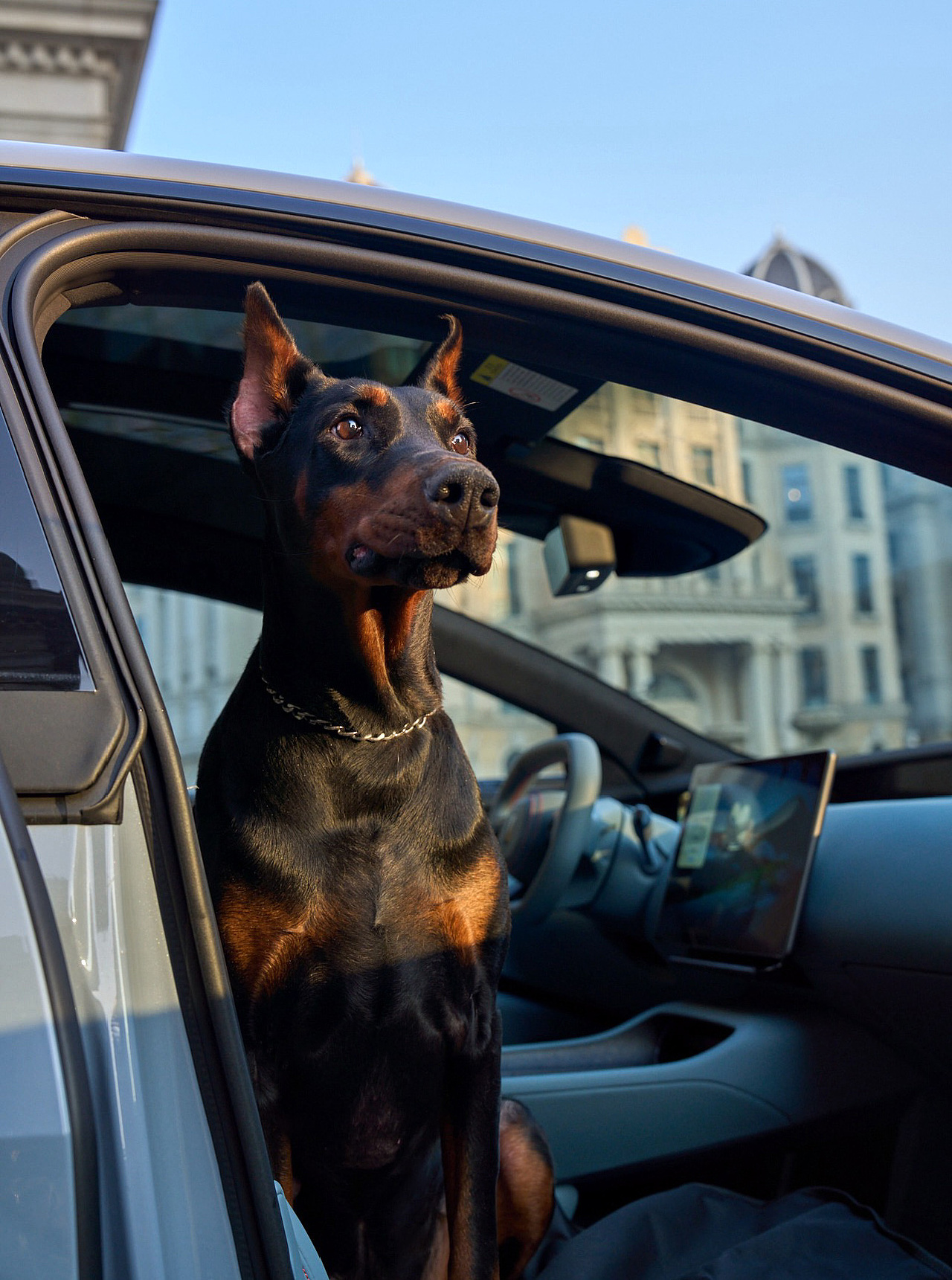 汽车摄影｜阿维塔12和杜宾犬（图ZMzcxNjI1OTA0） - 产品摄影 - 站酷设计师王昌龙WangEthan原创素材 - 站酷ZCOOL