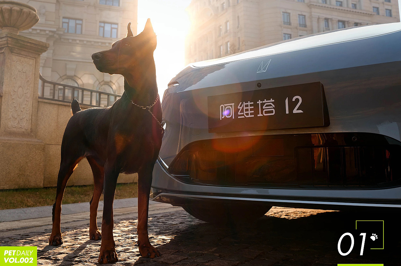汽车摄影｜阿维塔12和杜宾犬（图ZMzcxNjI1OTgw） - 产品摄影 - 站酷设计师王昌龙WangEthan原创素材 - 站酷ZCOOL