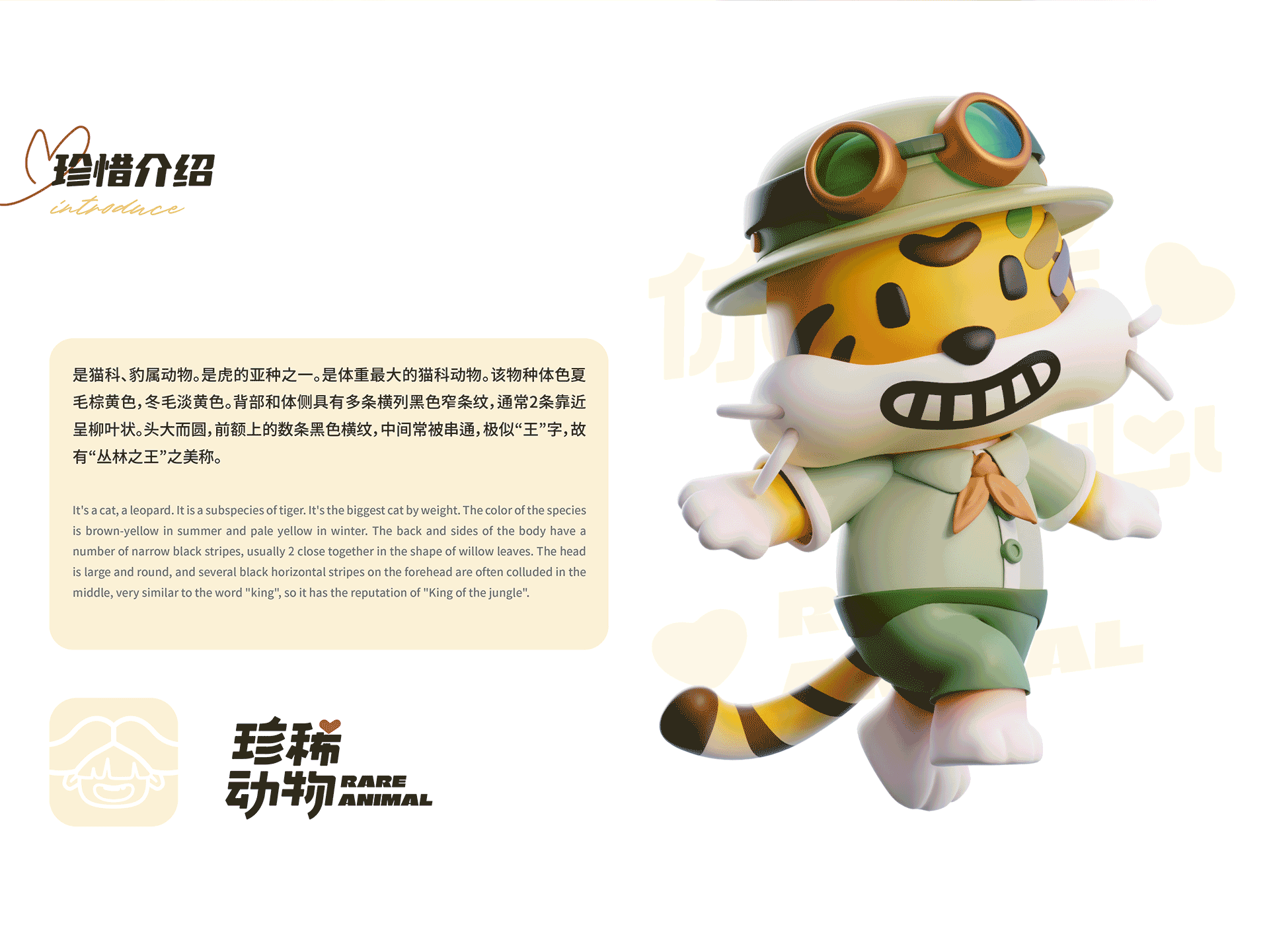 珍稀动物Ⅱ | 长白山动物 华美胜地行