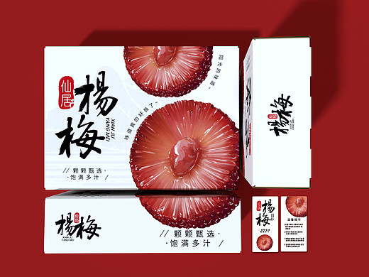 原创设计-杨梅礼盒包装 