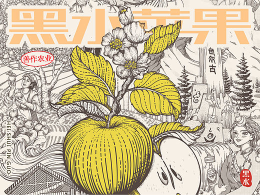 黑水苹果×水果包装设计
