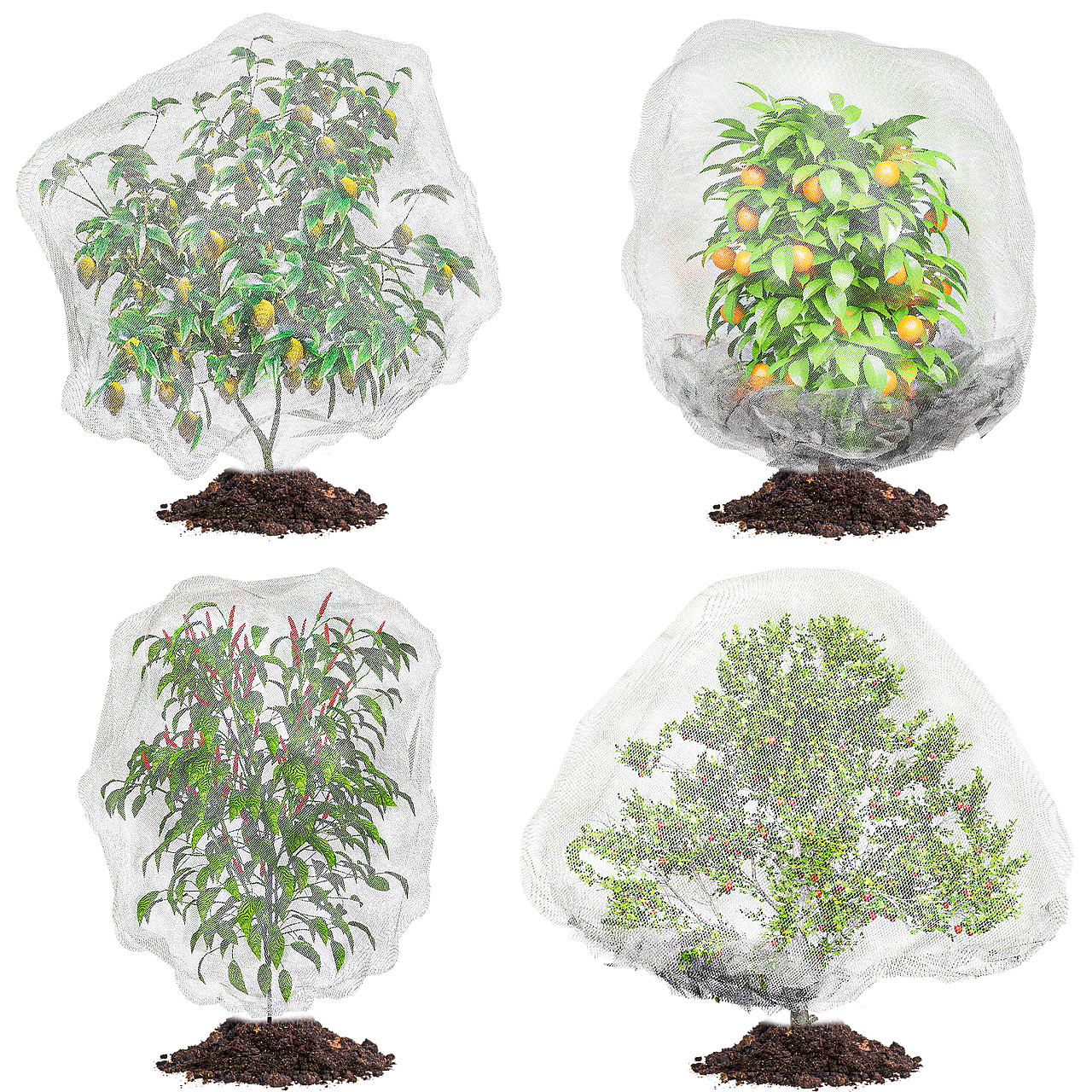 亚马逊植物网袋