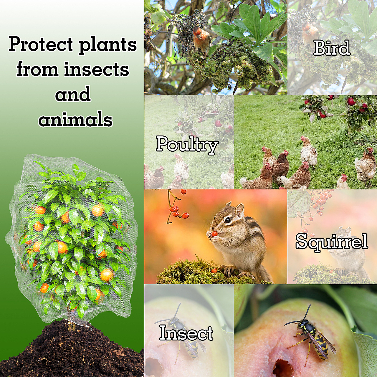 亚马逊植物网袋