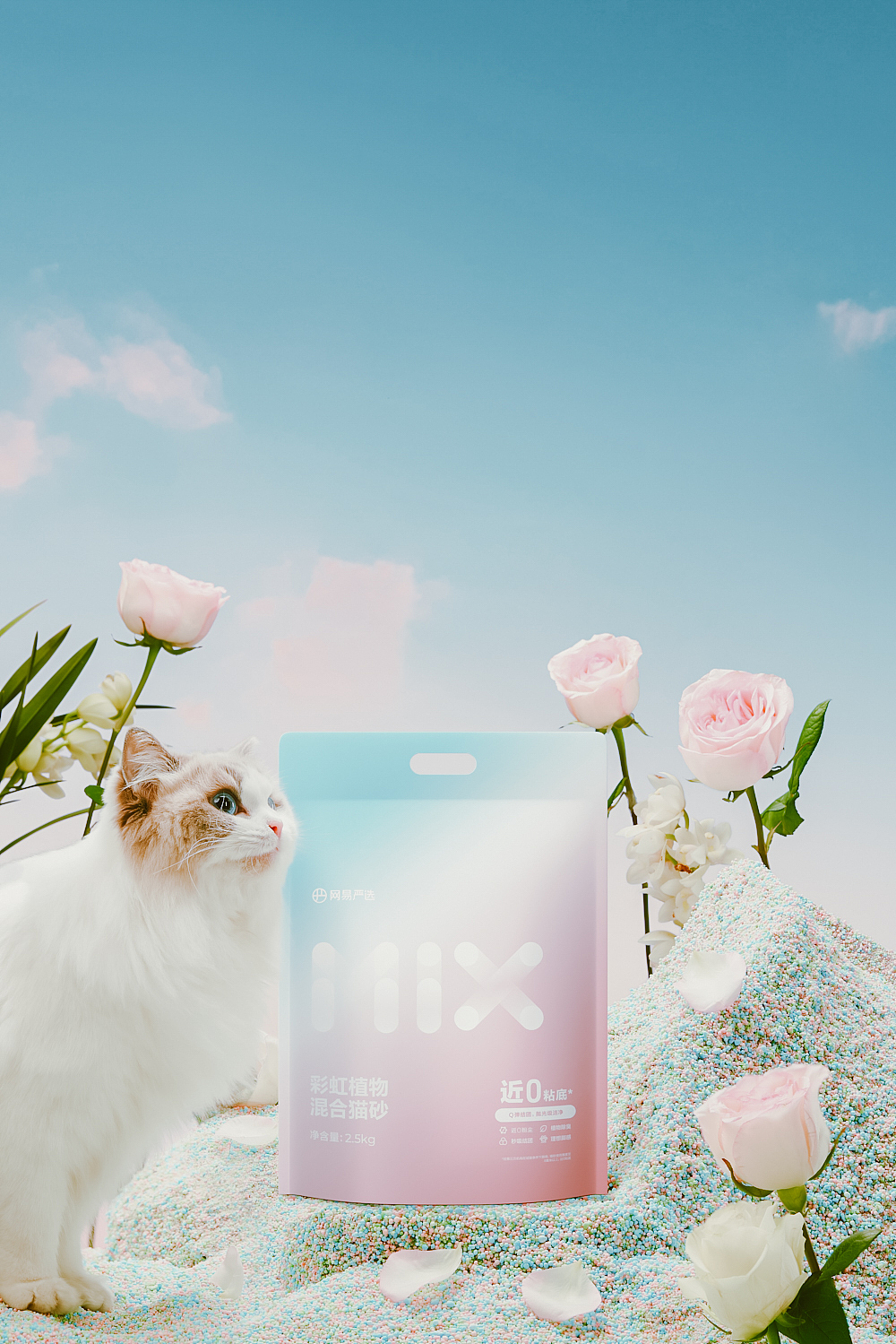 一些电商猫砂拍摄的零零碎碎