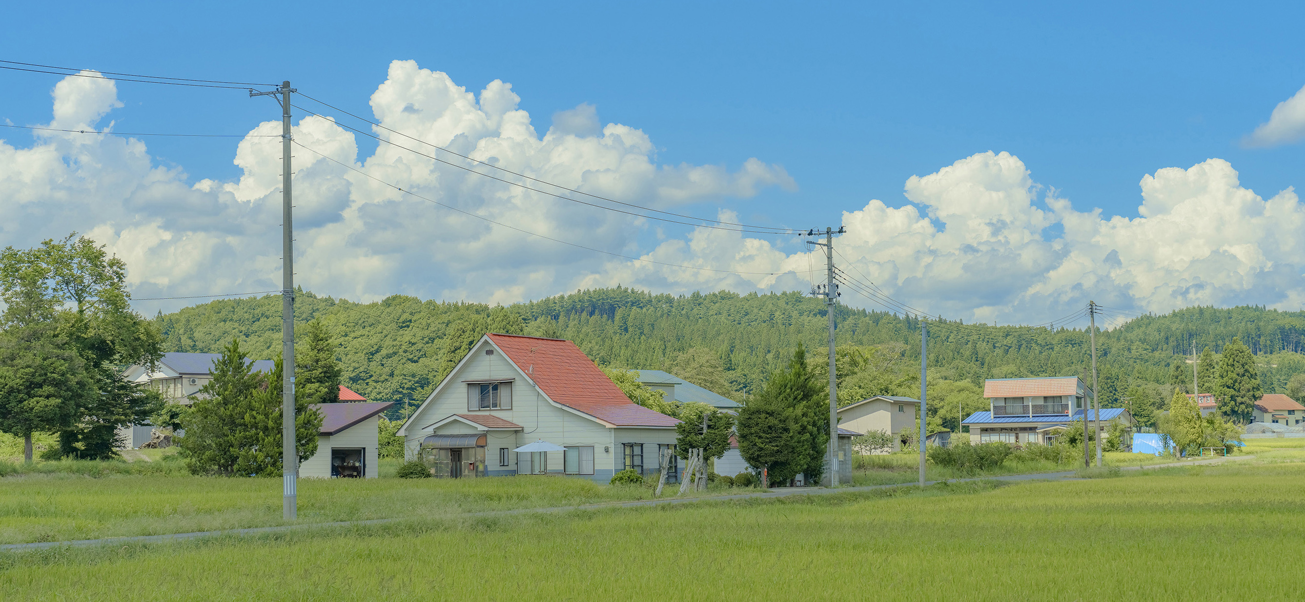 青柠树芷的个人主页（封面预览） - 主页封面设置 - 站酷设计师青柠树芷原创素材 - 站酷ZCOOL