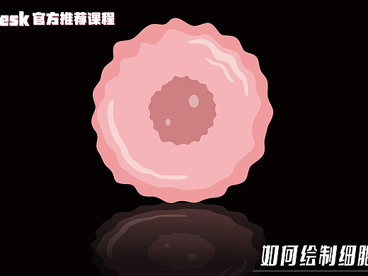 Sci科研制图 | 如何用CorelDraw绘制细胞