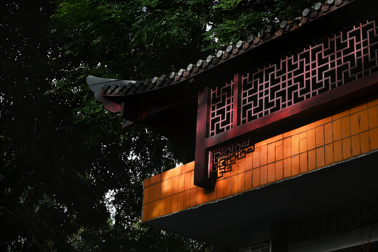 周末扫街摄影,记录美好生活