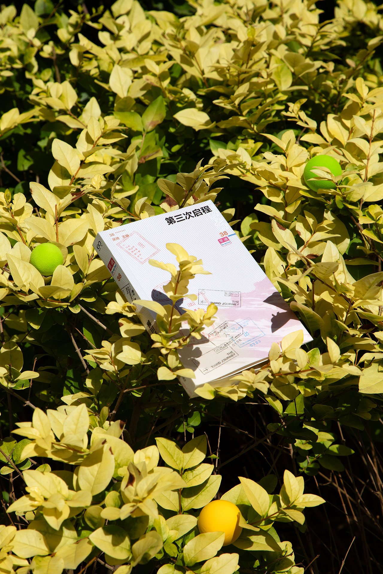 《单读38·第三次启程》（图ZMzcxNzAzMjY4） - 书籍/画册 - 站酷设计师李政坷原创素材 - 站酷ZCOOL