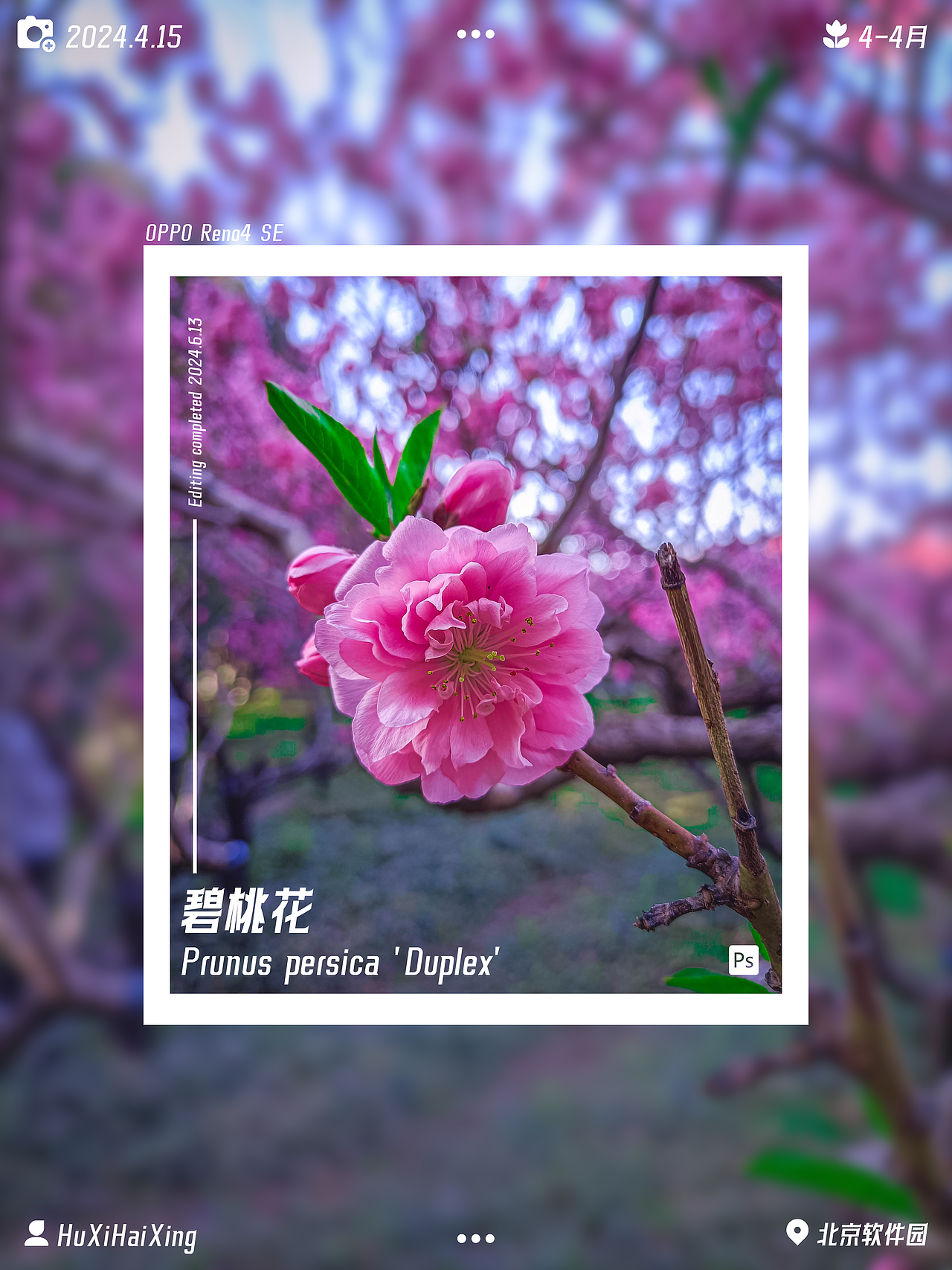 拍照日记-01（图ZMzcxNzIwNTUy） - 风光摄影 - 站酷设计师虎玺海星原创素材 - 站酷ZCOOL