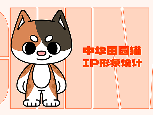 中华田园猫 | IP形象