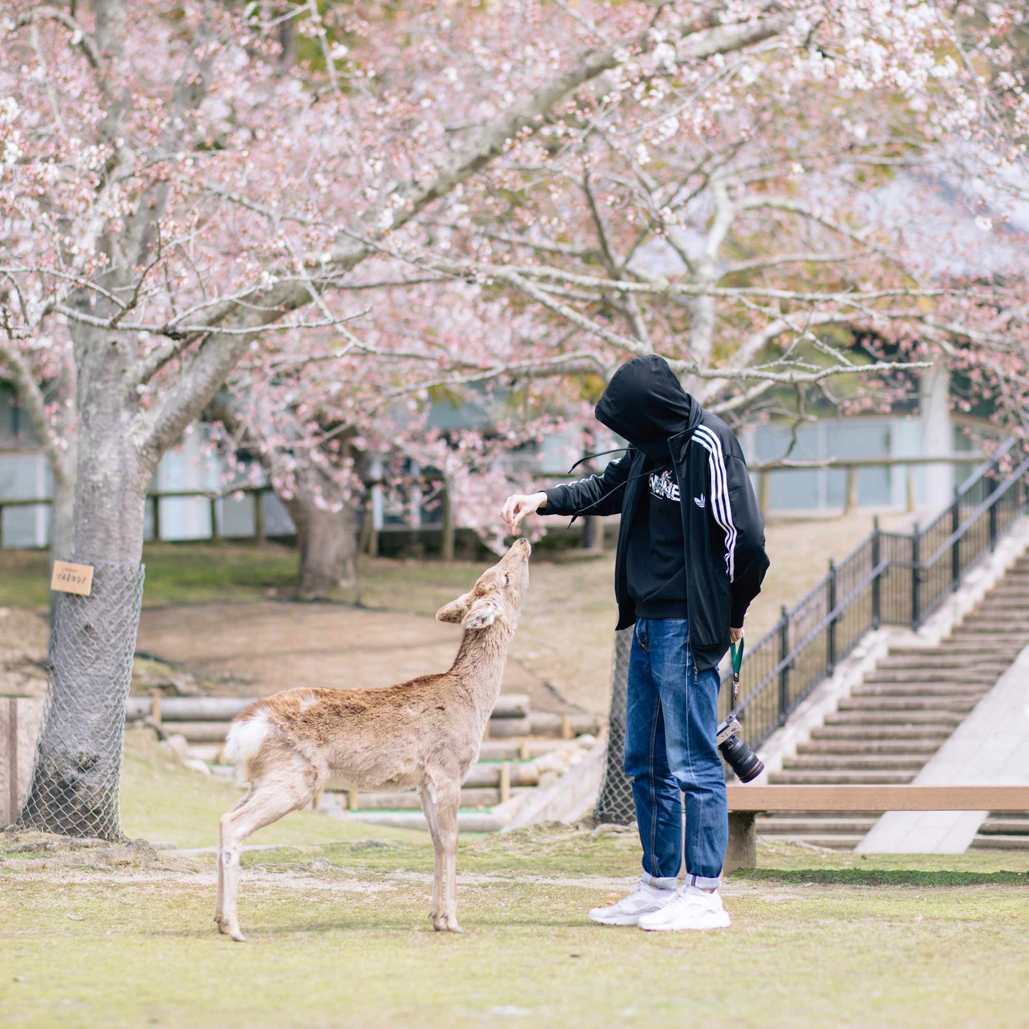 akingW的个人主页（背景预览） - 主页背景设置 - 站酷设计师akingW原创素材 - 站酷ZCOOL