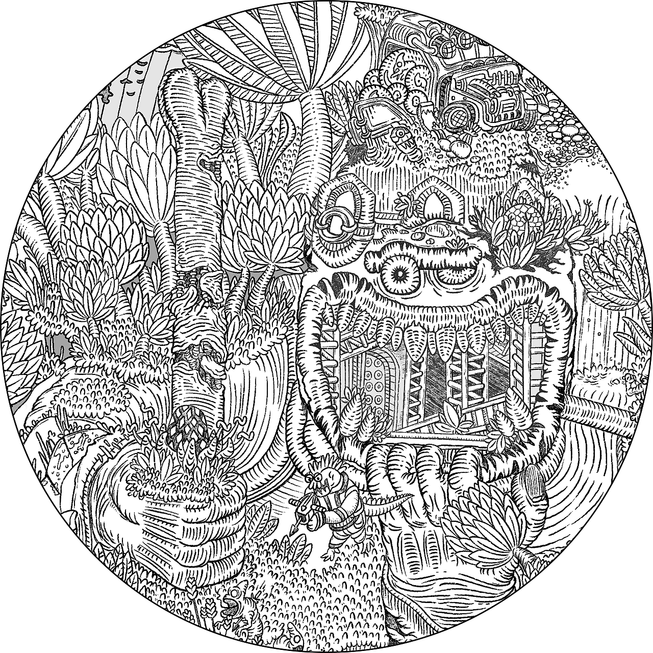 一片有故事的丛林