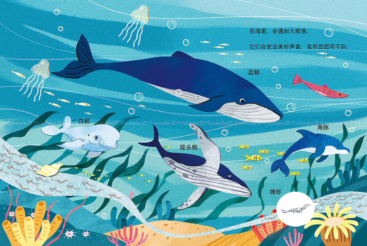 团团系列绘本1《小⻉壳的大旅行》