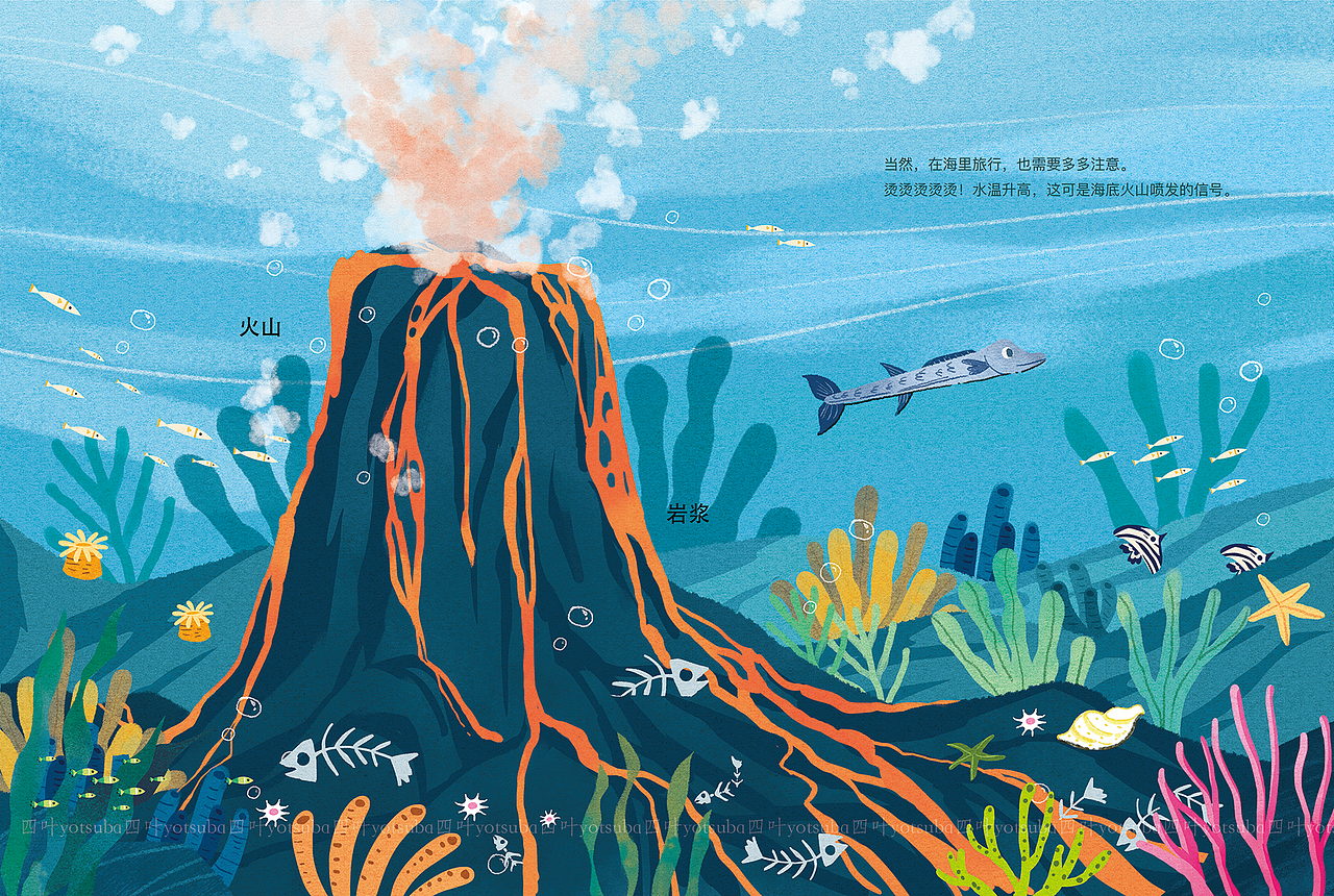 团团系列绘本1《小⻉壳的大旅行》