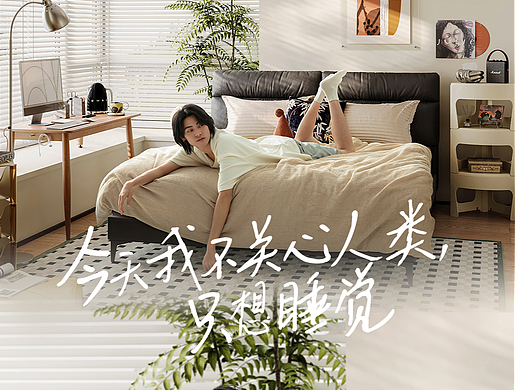 林氏家居品牌态度海报拍摄制作