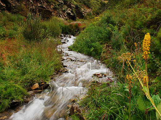 清澈小溪（個(gè)人主頁-ZNjg5MTQ0NTY=） - 風(fēng)光攝影 - 站酷設(shè)計(jì)師muyanglang原創(chuàng)素材 - 站酷ZCOOL