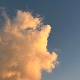 阿文_Arvin的头像