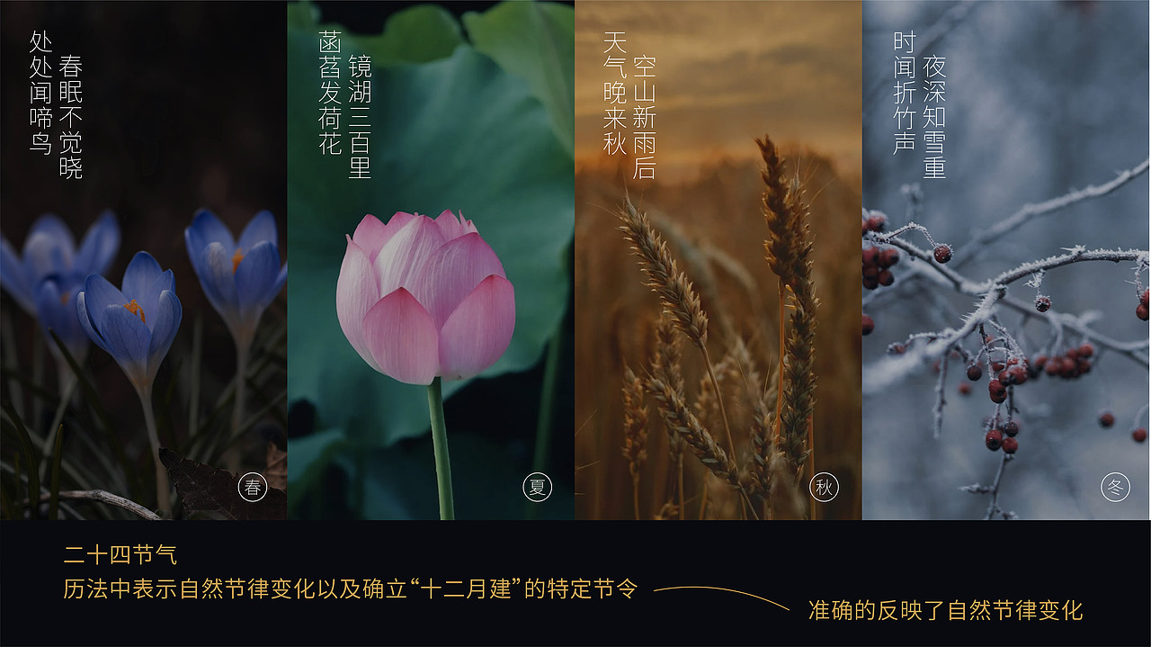 塔斯汀✖️东方造物 福龙送堡/欢乐聚吉（图ZMzcxODU2NzA4） - 包装 - 站酷设计师东方造物原创素材 - 站酷ZCOOL