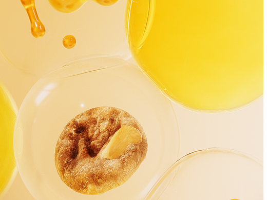 一家之言 烘培猫粮