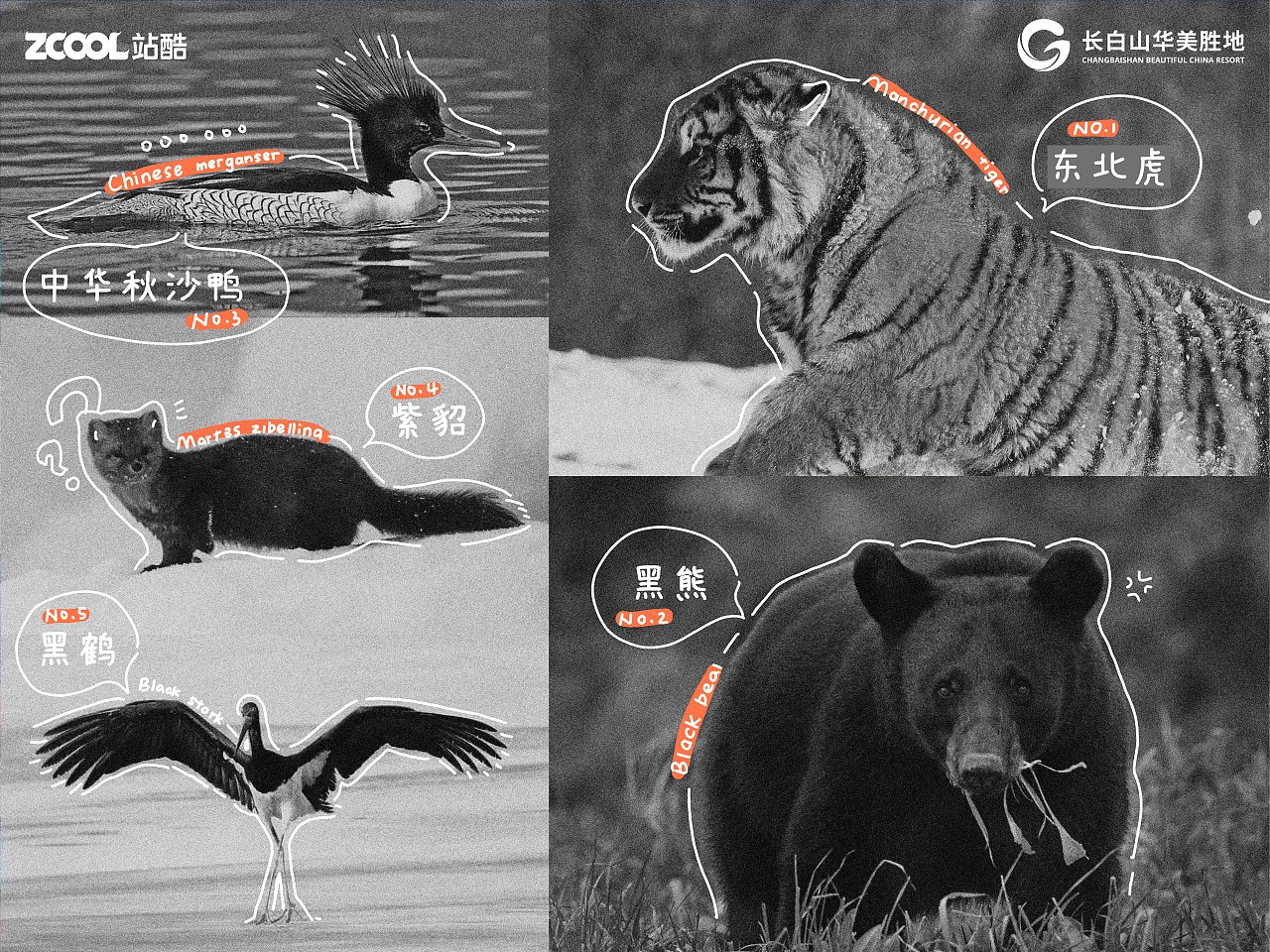 Produce 101（图ZMzcxOTE0Nzg0） - 海报 - 站酷设计师疏影in原创素材 - 站酷ZCOOL