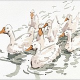 321你好的头像