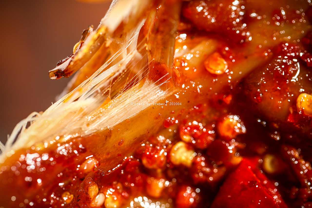 烤兔摄影全了,整只兔 兔丁 兔腿 兔头