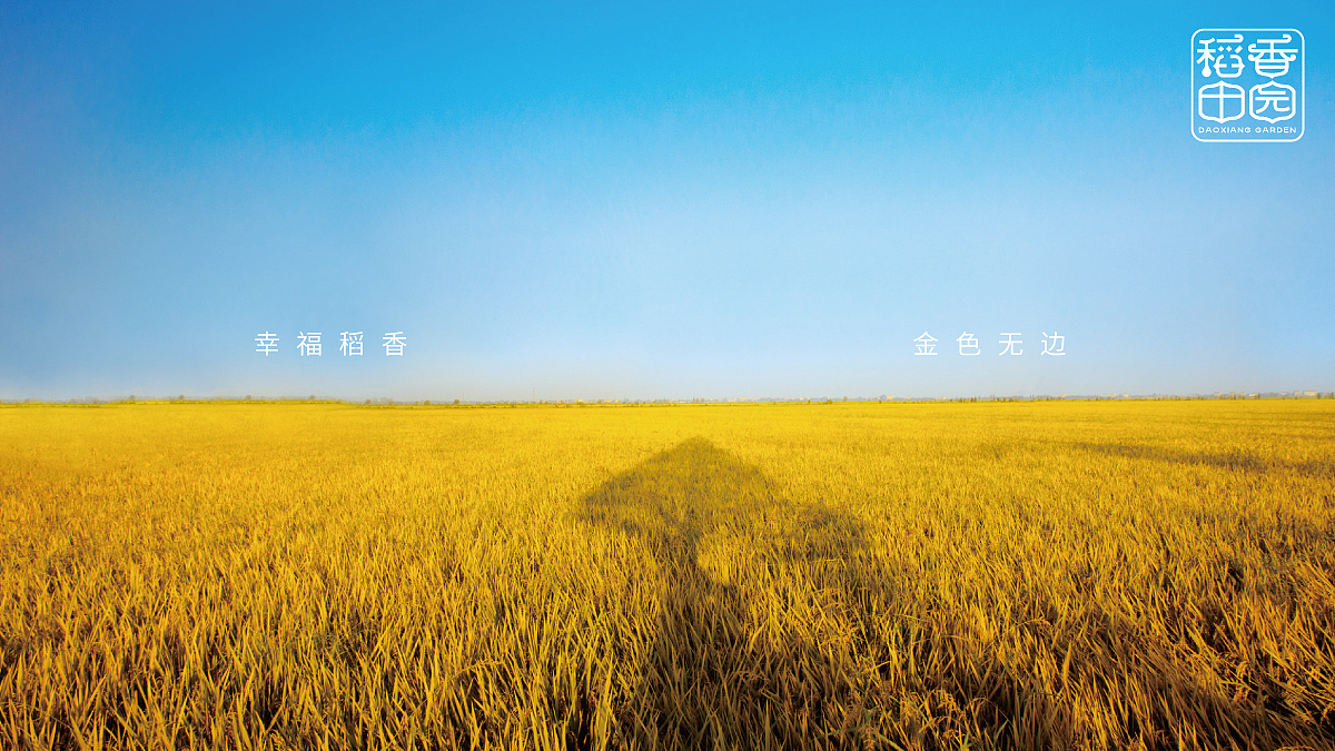 稻香田园方案2
