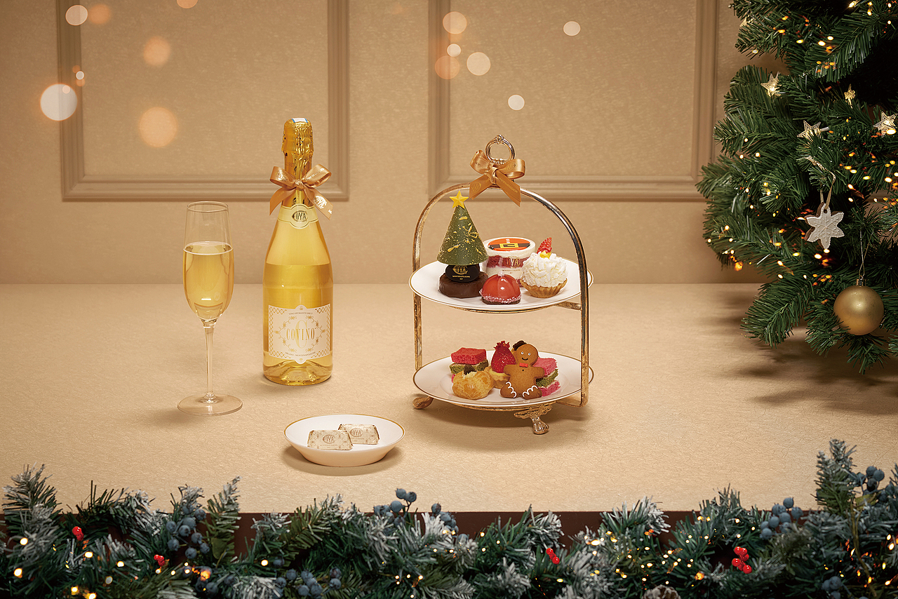 COVA产品手册修图