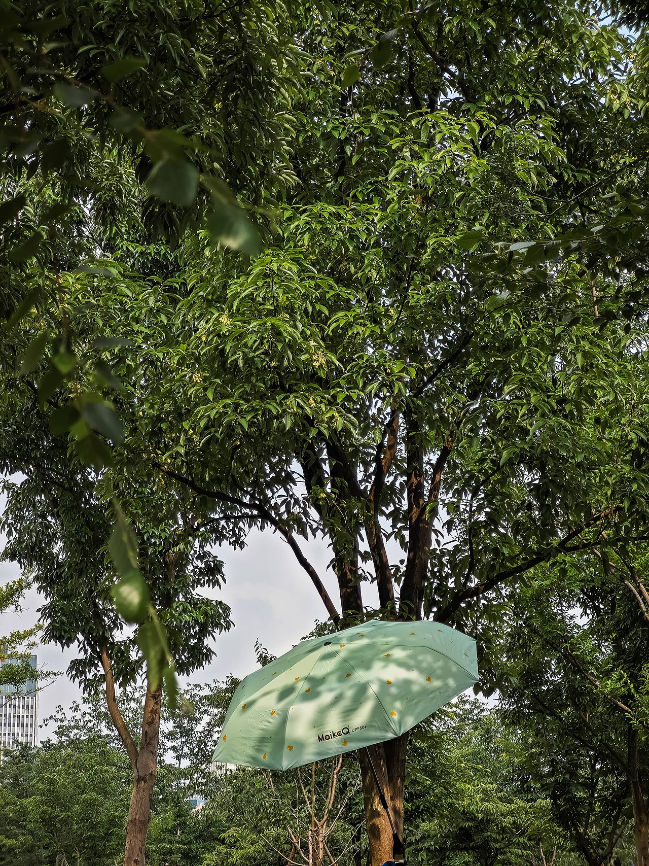 手机摄影 I 街头巷尾