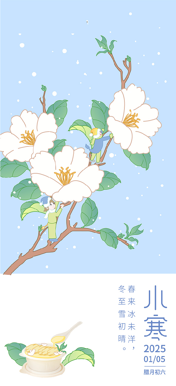 二十四节气插画