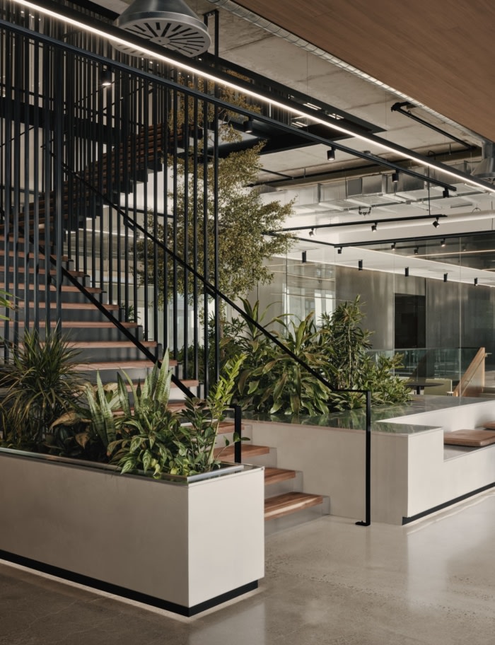 办公室室内装修:胡桃木镶板天花板和威尼斯石膏墙增添了一丝温暖的质感