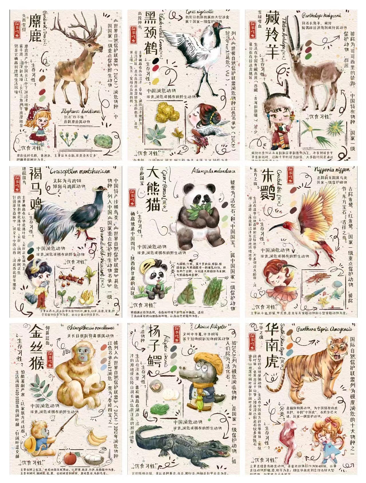 合集