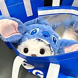 壳里里的头像