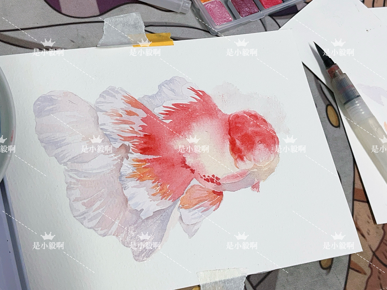 红金百褶泰狮（图ZMzcyMDQxMjQw） - 绘本 - 站酷设计师风莲原创素材 - 站酷ZCOOL