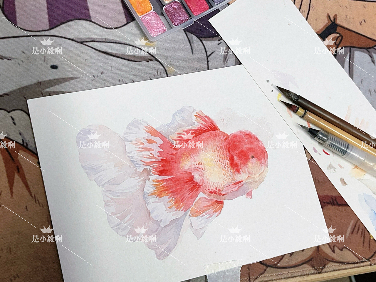 红金百褶泰狮（图ZMzcyMDQxMjM2） - 绘本 - 站酷设计师风莲原创素材 - 站酷ZCOOL