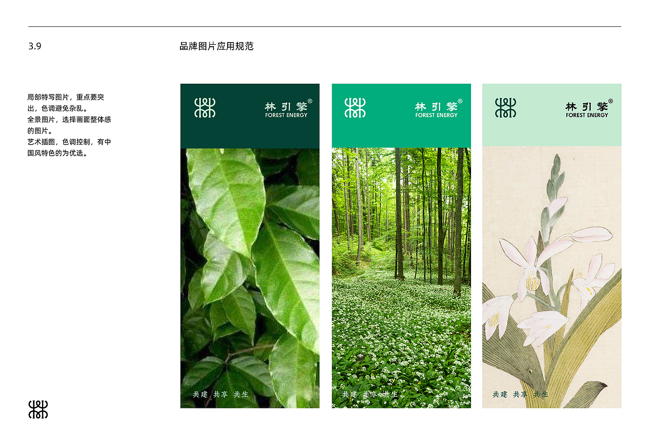 【入选亚太设计年鉴】林引擎|中草药产业联合品牌设计