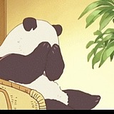 sangchen的头像