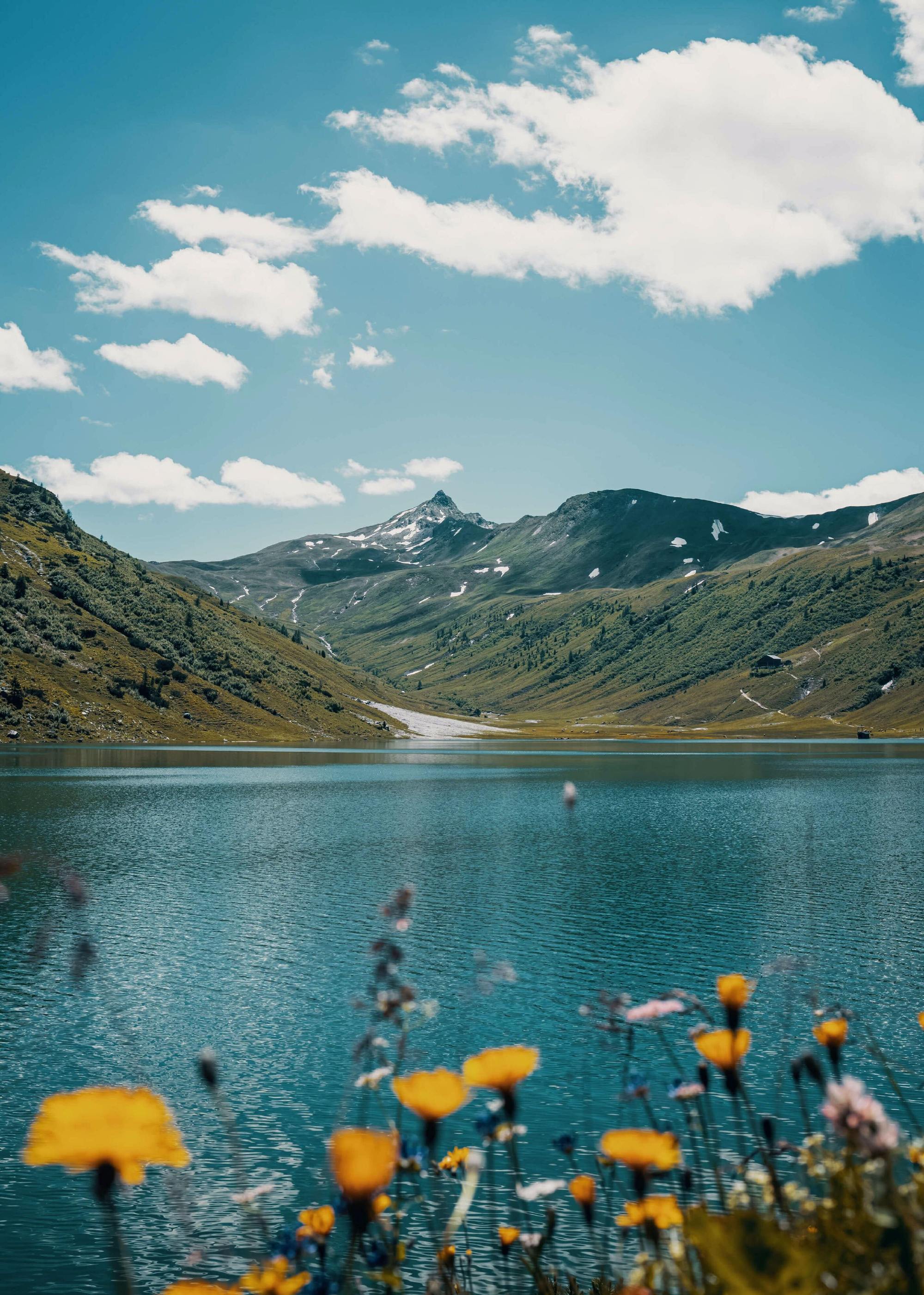文艺青年熊的个人主页（封面预览） - 主页封面设置 - 站酷设计师文艺青年熊原创素材 - 站酷ZCOOL