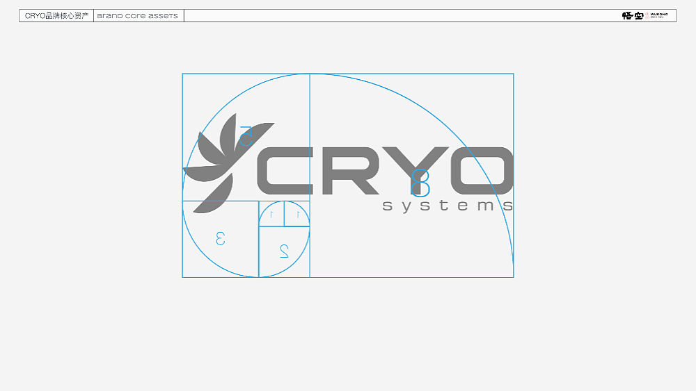 CRYO 品牌出海 品牌升级（图ZMzcyMTM4ODg4） - 品牌 - 站酷设计师广州悟空设计原创素材 - 站酷ZCOOL