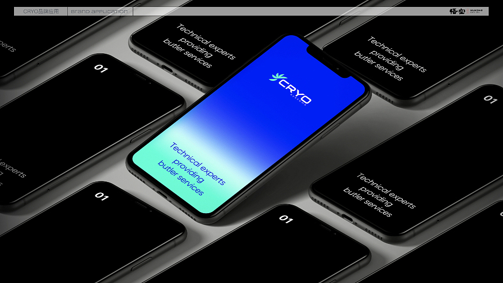 CRYO 品牌出海 品牌升级（图ZMzcyMTM4OTc2） - 品牌 - 站酷设计师广州悟空设计原创素材 - 站酷ZCOOL