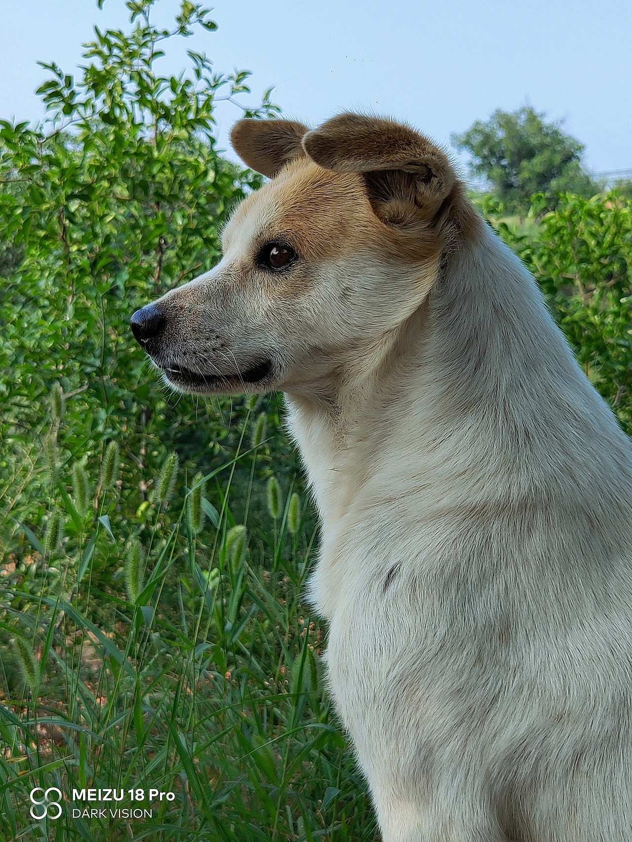 魅族18PRO的拍照实力（图ZMzcyMTYyMTEy） - 人文/纪实摄影 - 站酷设计师第三少年原创素材 - 站酷ZCOOL