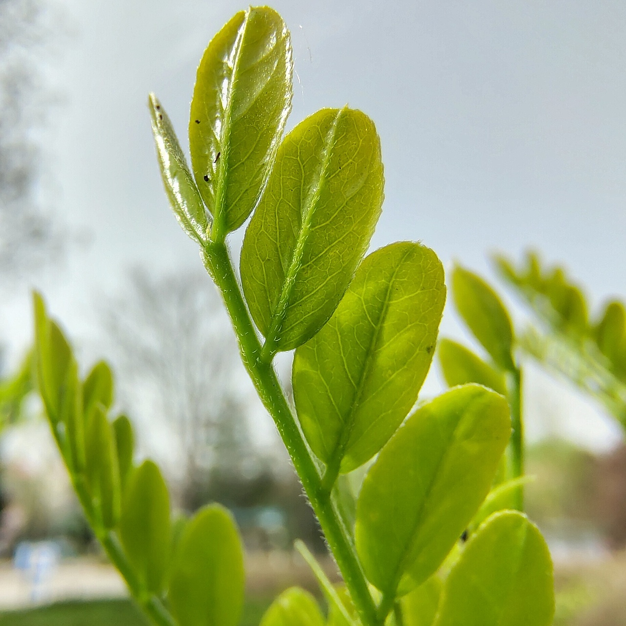 魅族18PRO的拍照实力（图ZMzcyMTYyNDcy） - 人文/纪实摄影 - 站酷设计师第三少年原创素材 - 站酷ZCOOL