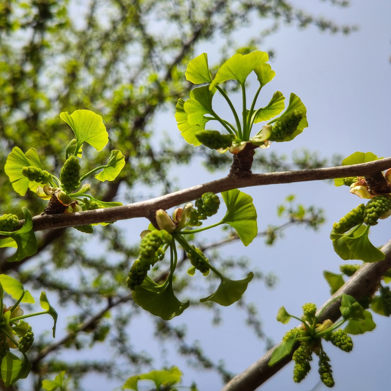 魅族18PRO的拍照实力（图ZMzcyMTYyNDY4） - 人文/纪实摄影 - 站酷设计师第三少年原创素材 - 站酷ZCOOL