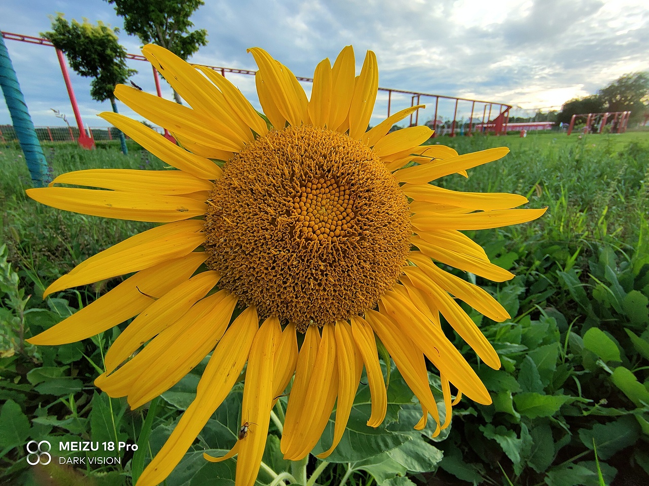魅族18PRO的拍照实力（图ZMzcyMTYyNDQ0） - 人文/纪实摄影 - 站酷设计师第三少年原创素材 - 站酷ZCOOL