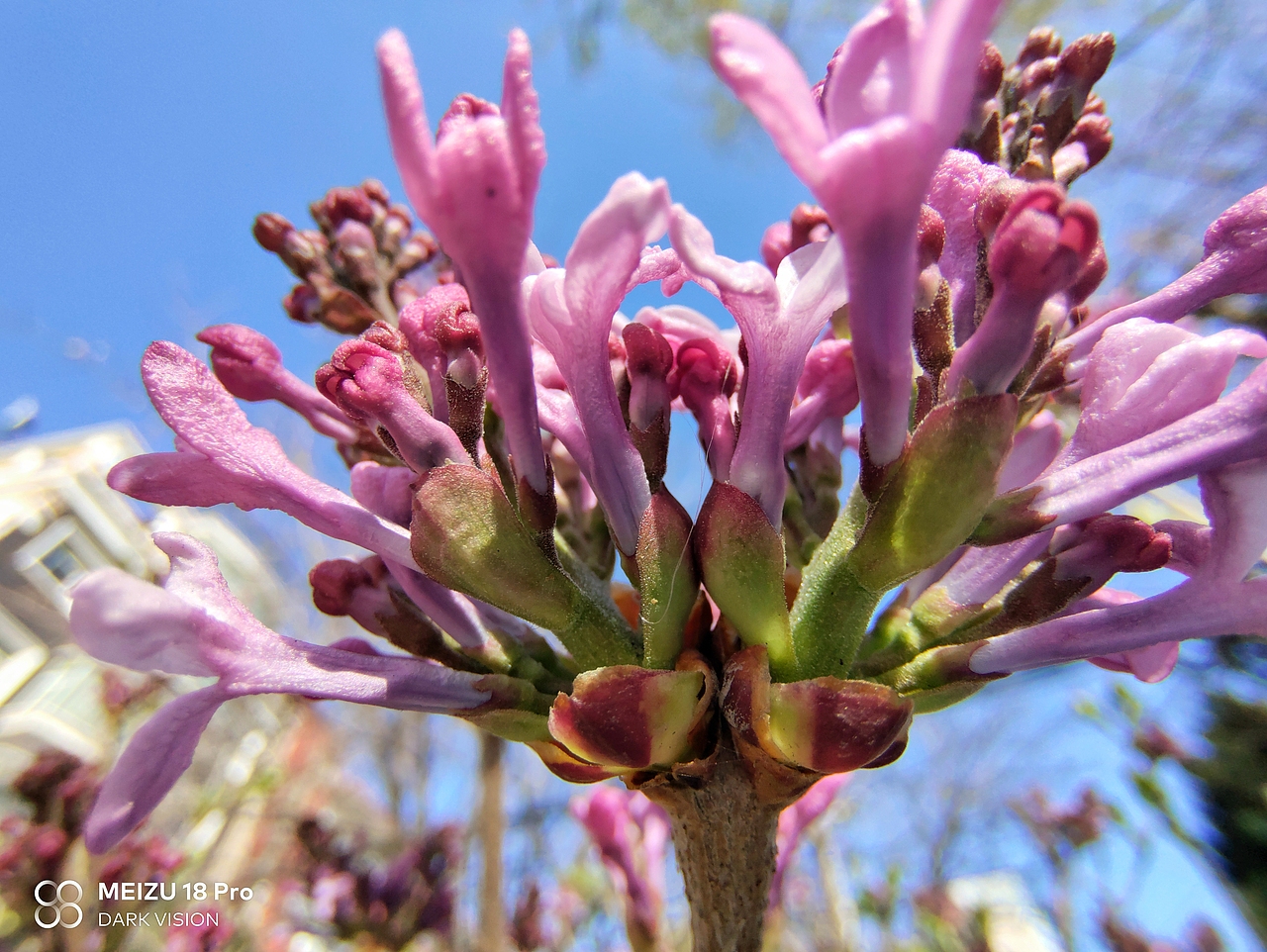 魅族18PRO的拍照实力（图ZMzcyMTYyNDI4） - 人文/纪实摄影 - 站酷设计师第三少年原创素材 - 站酷ZCOOL