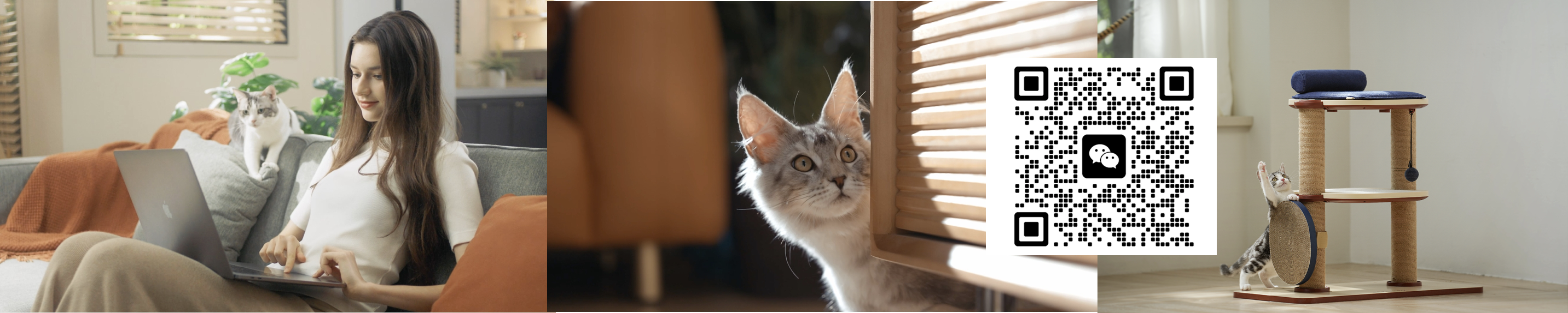 MY_STUDIO的個人主頁（封面預(yù)覽） - 主頁封面設(shè)置 - 站酷設(shè)計(jì)師MY_STUDIO原創(chuàng)素材 - 站酷ZCOOL