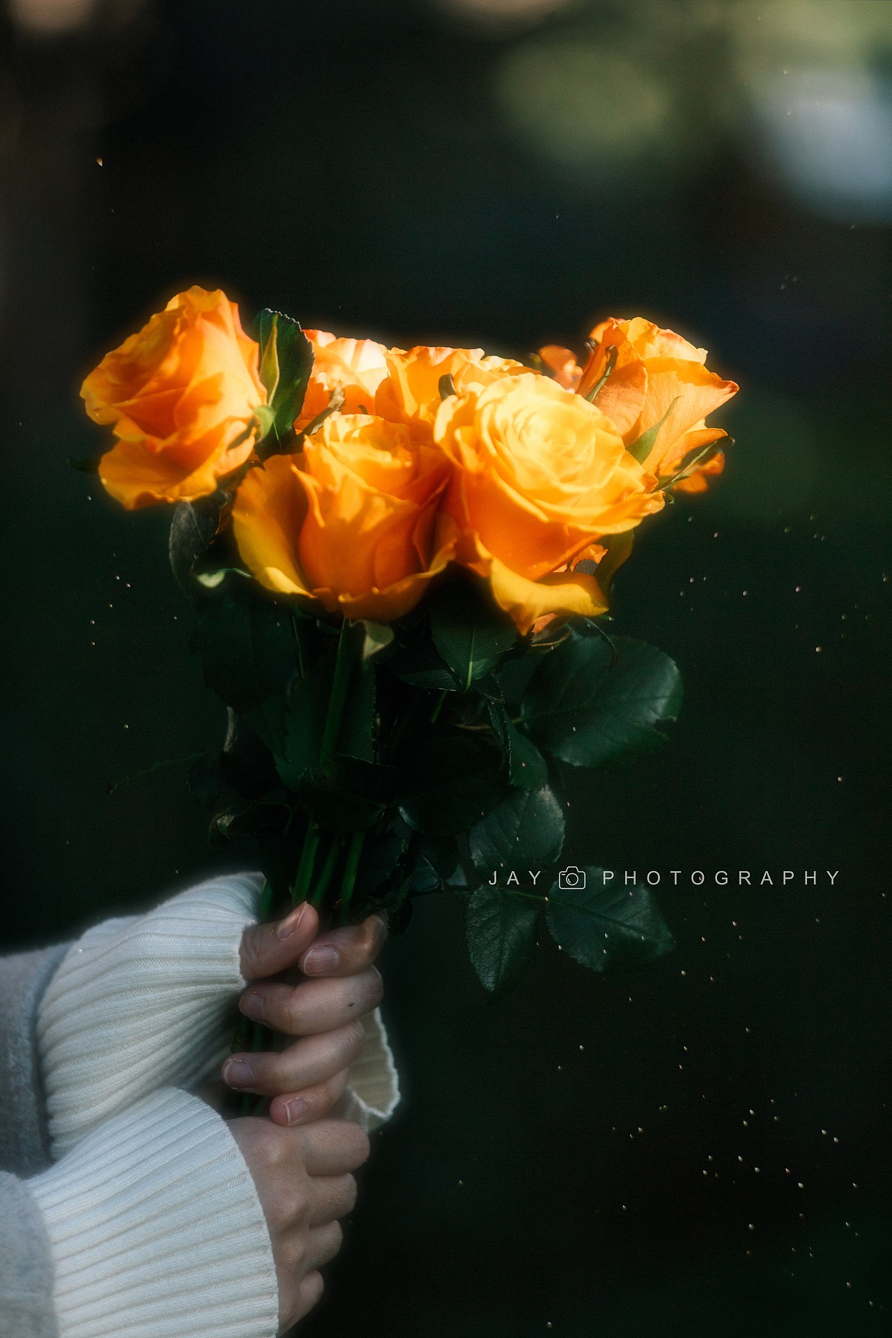 人像摄影-氛围感写真