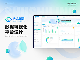 可视化大数据